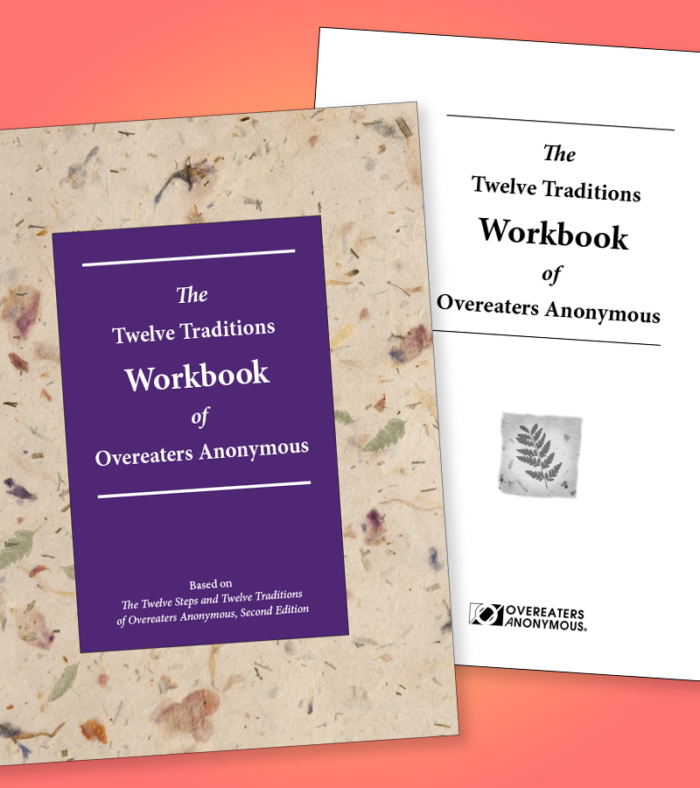 Twelve Traditions workbook cover